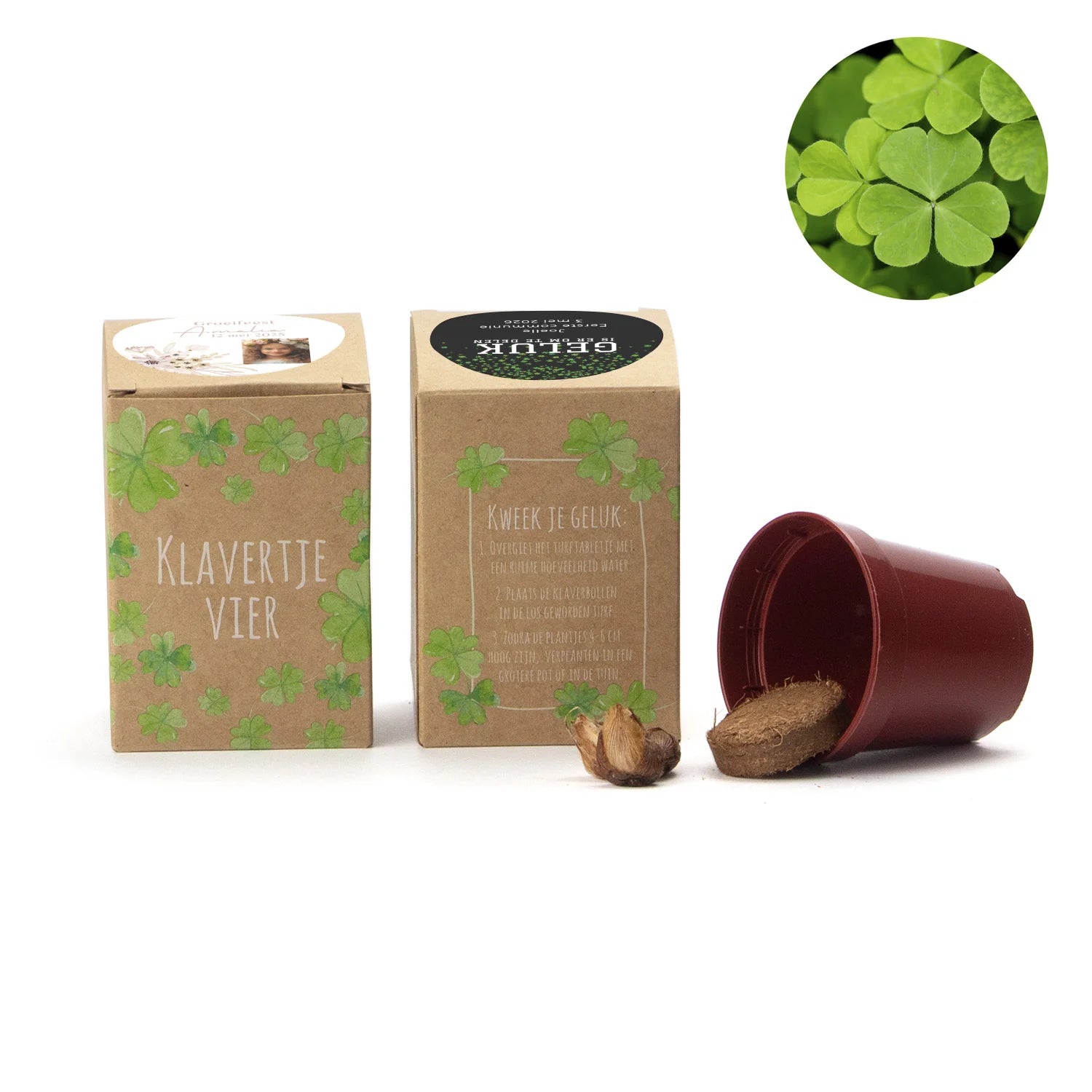 Klavertje vier kweekset met eigen etiket - Communie meisje - Bedankjes.nl