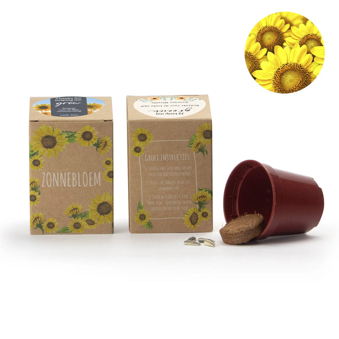 Zonnebloem kweekset met eigen etiket - Collega
