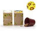 Zonnebloem kweekset met eigen etiket - Communie meisje
