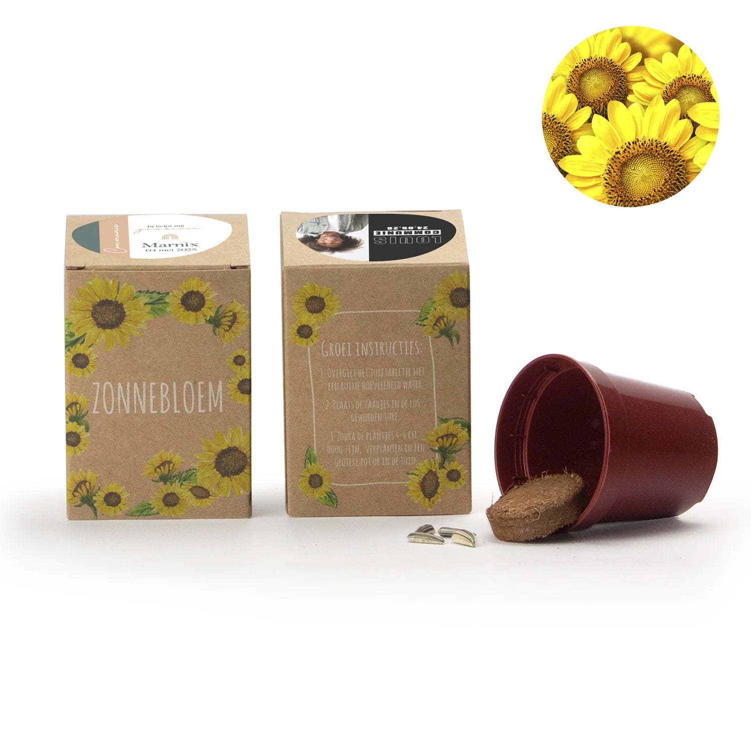 Zonnebloem kweekset met eigen etiket - Communie jongen - Bedankjes.nl