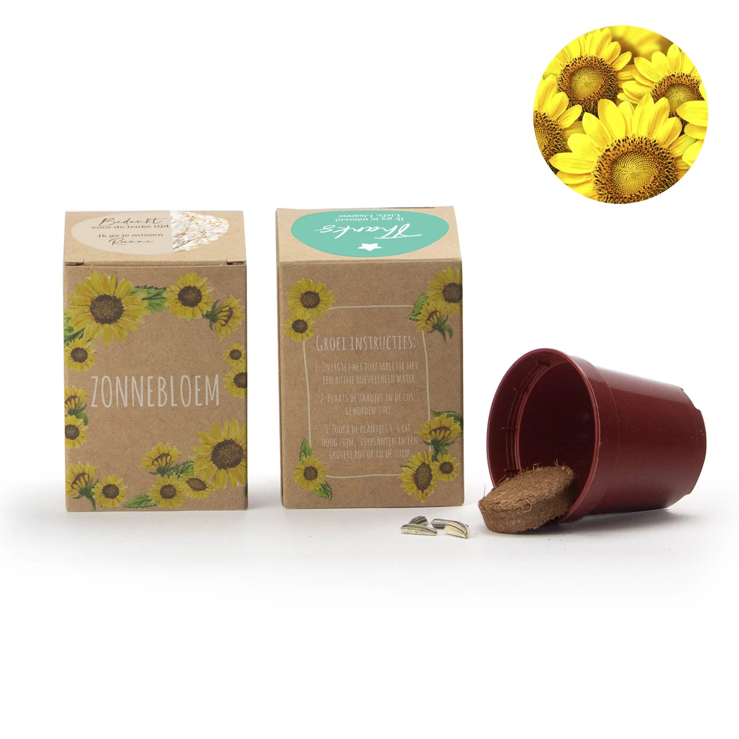 Zonnebloem kweekset met eigen etiket - Collega - Bedankjes.nl