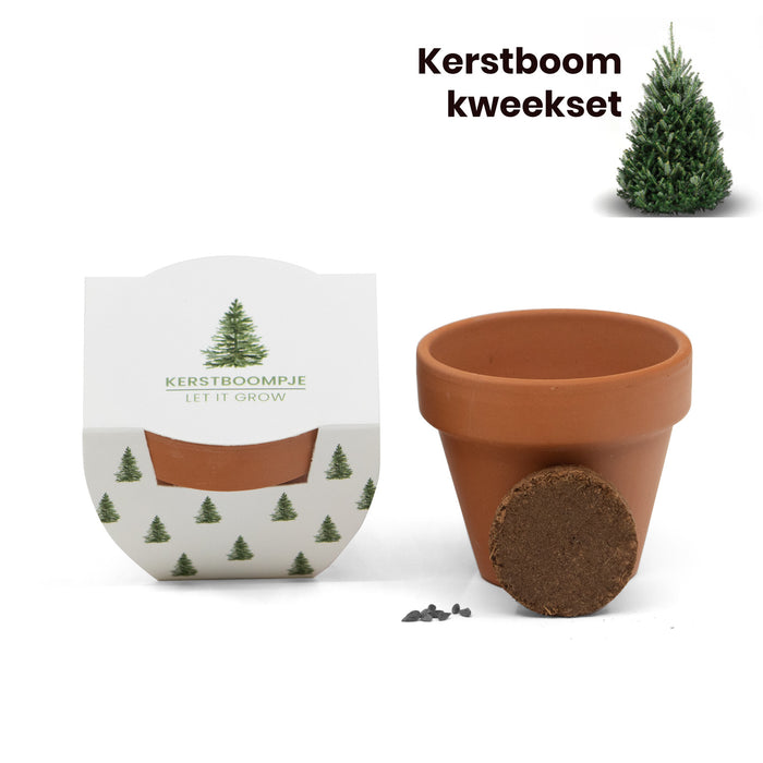 Let it grow! Kerstboom kweeksetje - Kerst