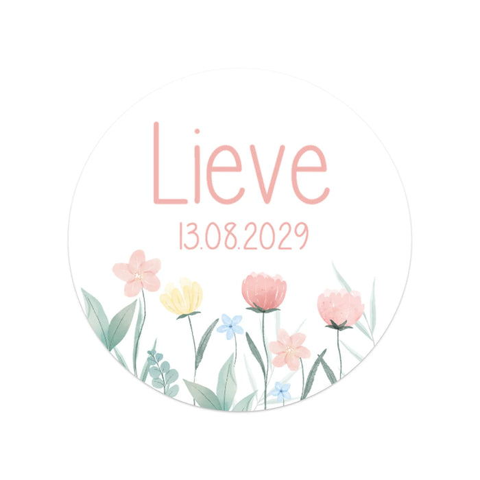 Stickers 18 stuks (5cm) - Geboorte meisjes