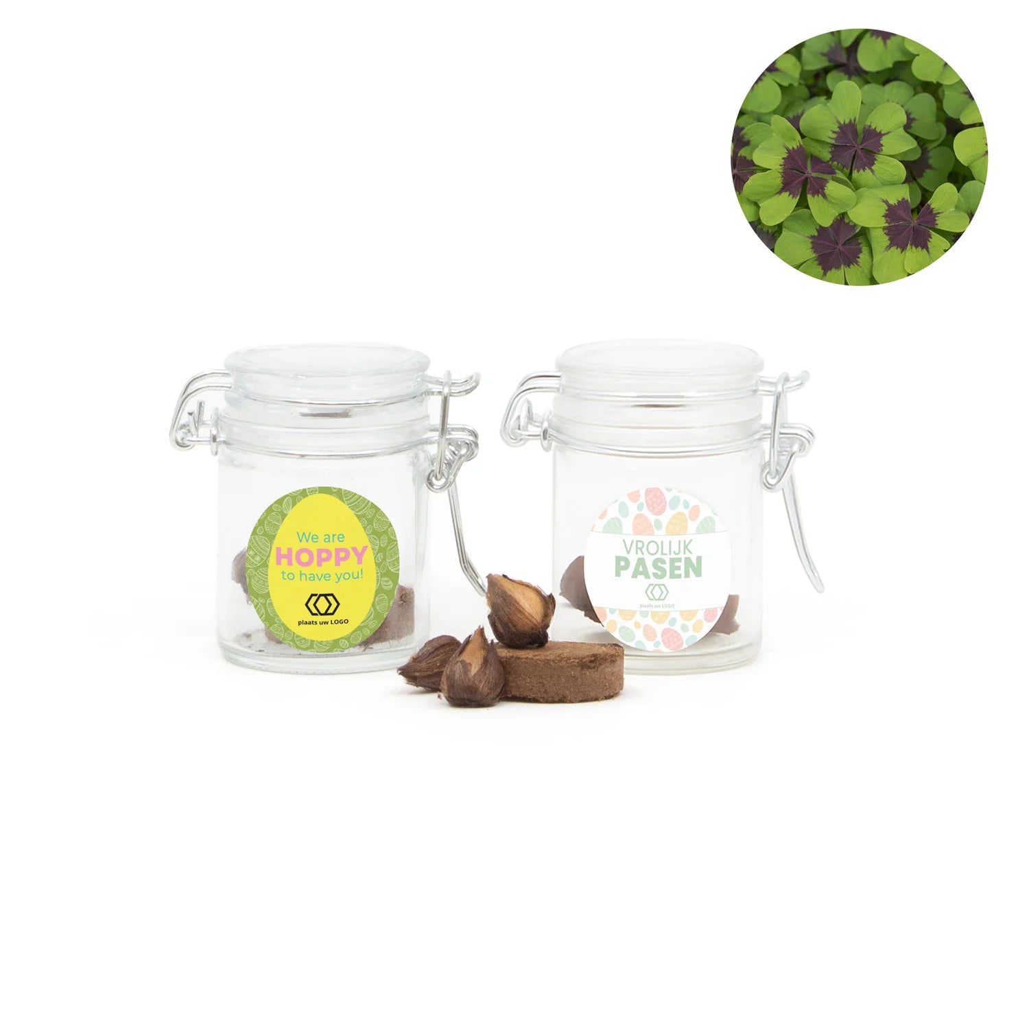 Geluksklaver kweeksetje in mini weckpotje - Pasen - Bedankjes.nl